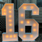 4'2"FT Light-Up Marquee Numbers 0–9 + Extra 2