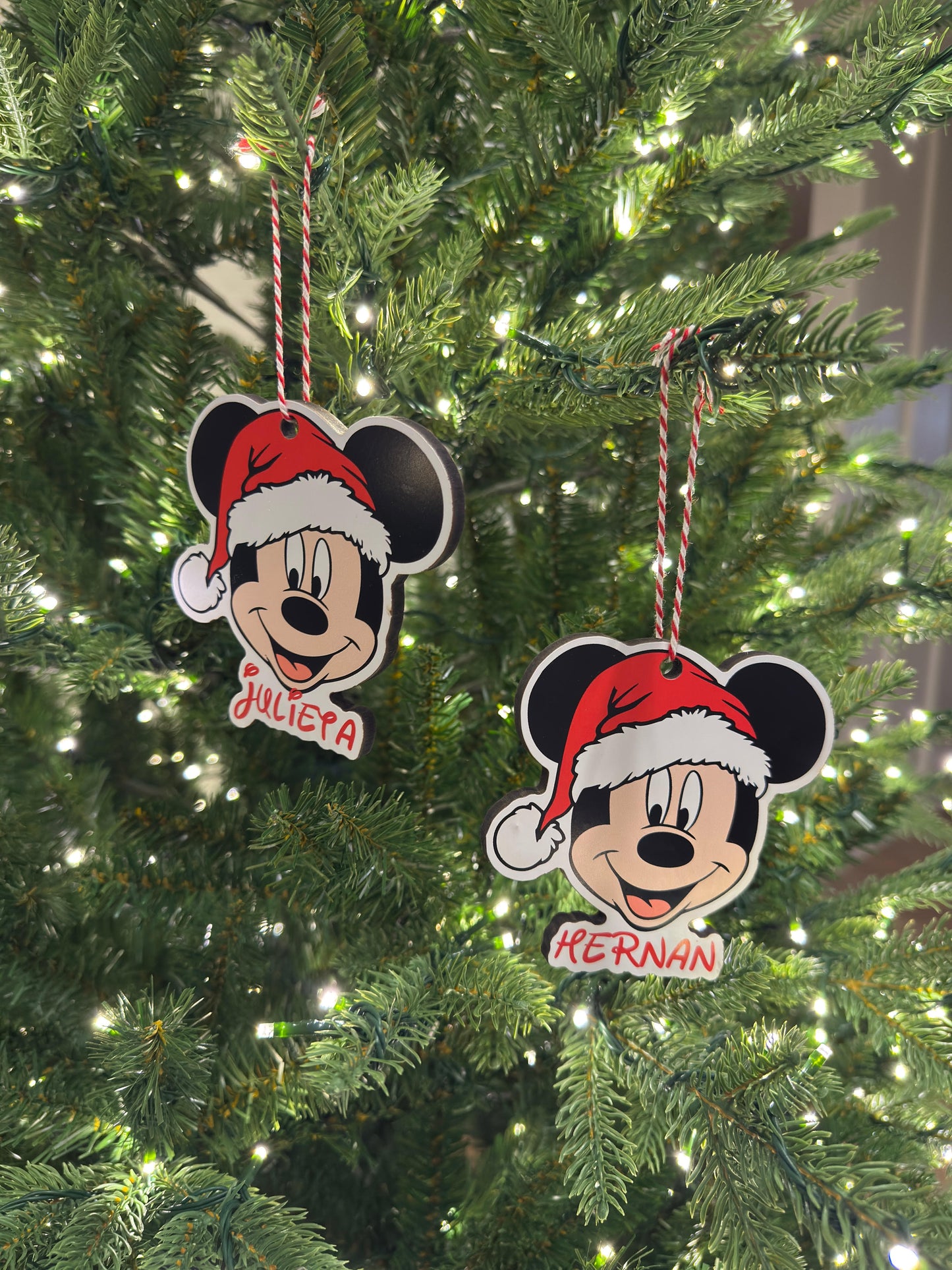 Mickey Print On Wood Ornament SETS