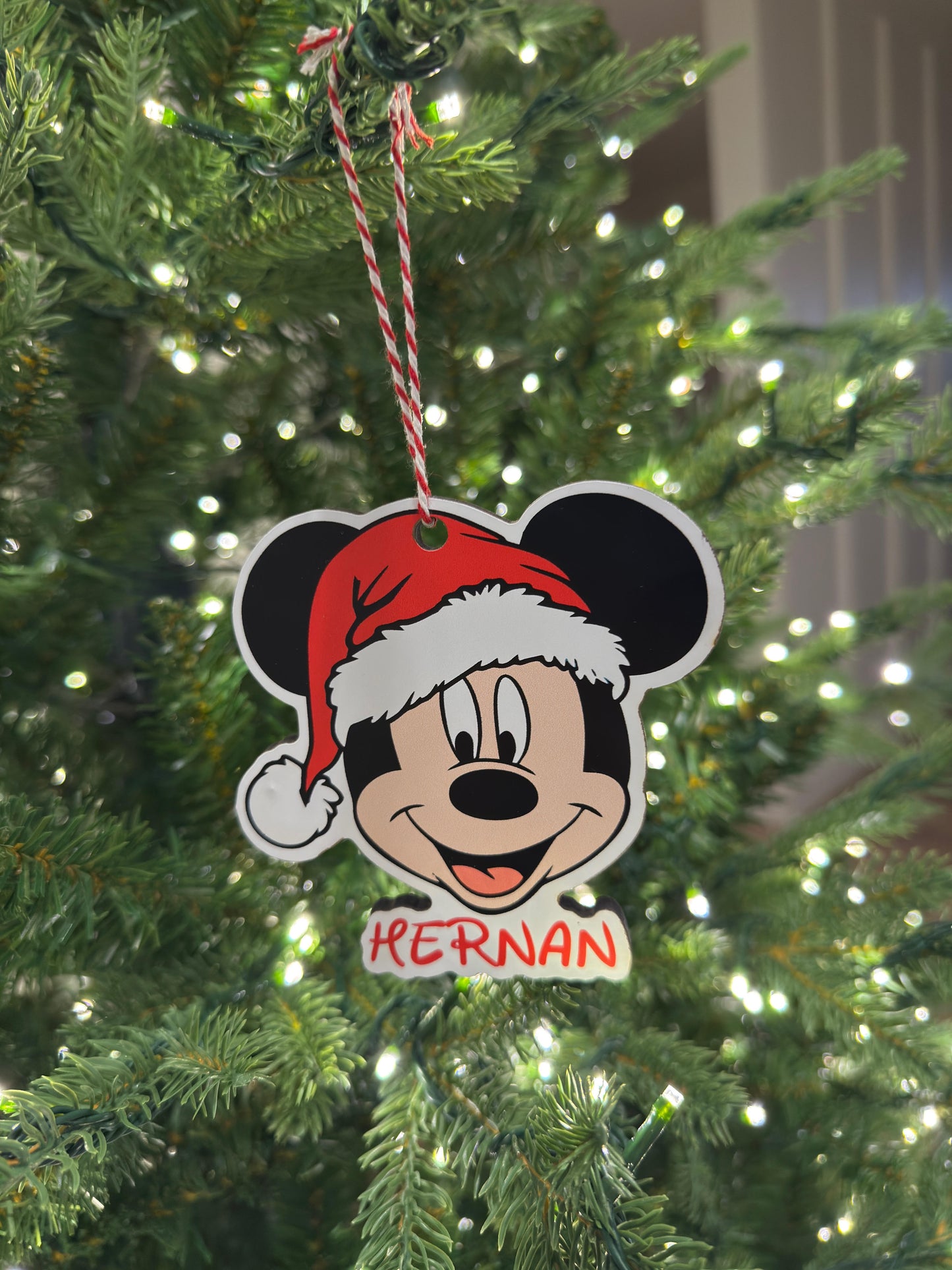 Mickey Print On Wood Ornament SETS